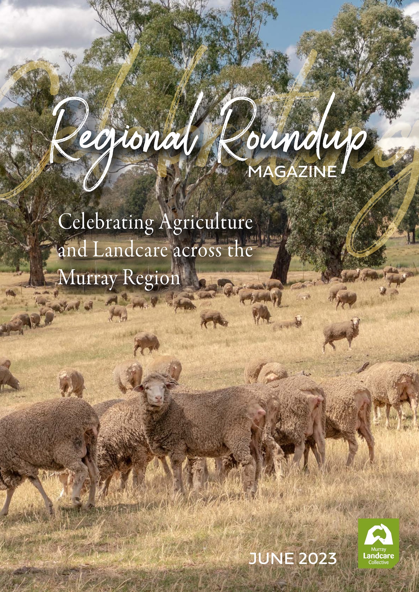 Regional Roundup Magazine